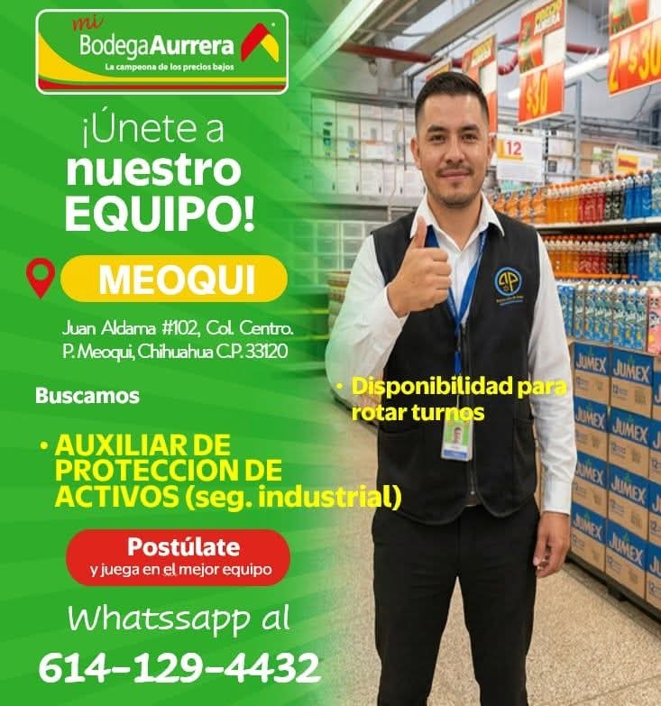 Auxiliar de proteccion