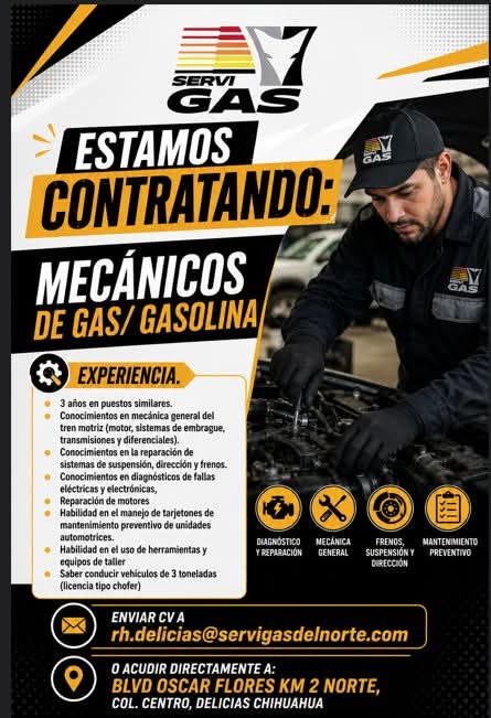Mecanismos de gas y gasolina