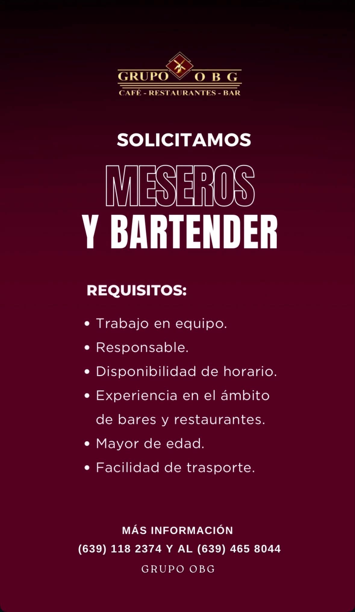 Meseros bartender