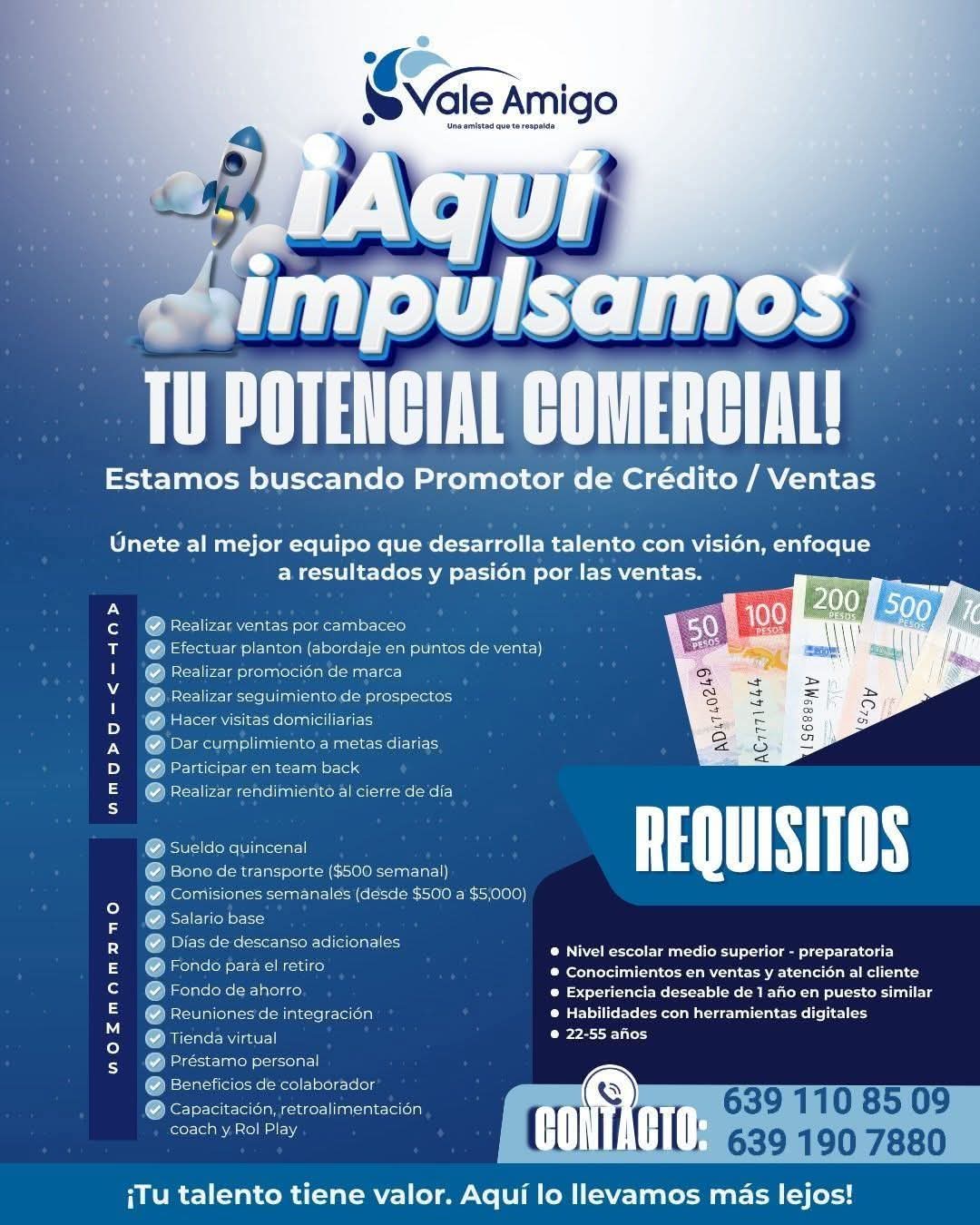 Distribuidora