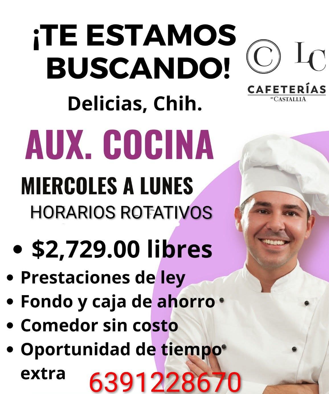 Auxiliar de cocina