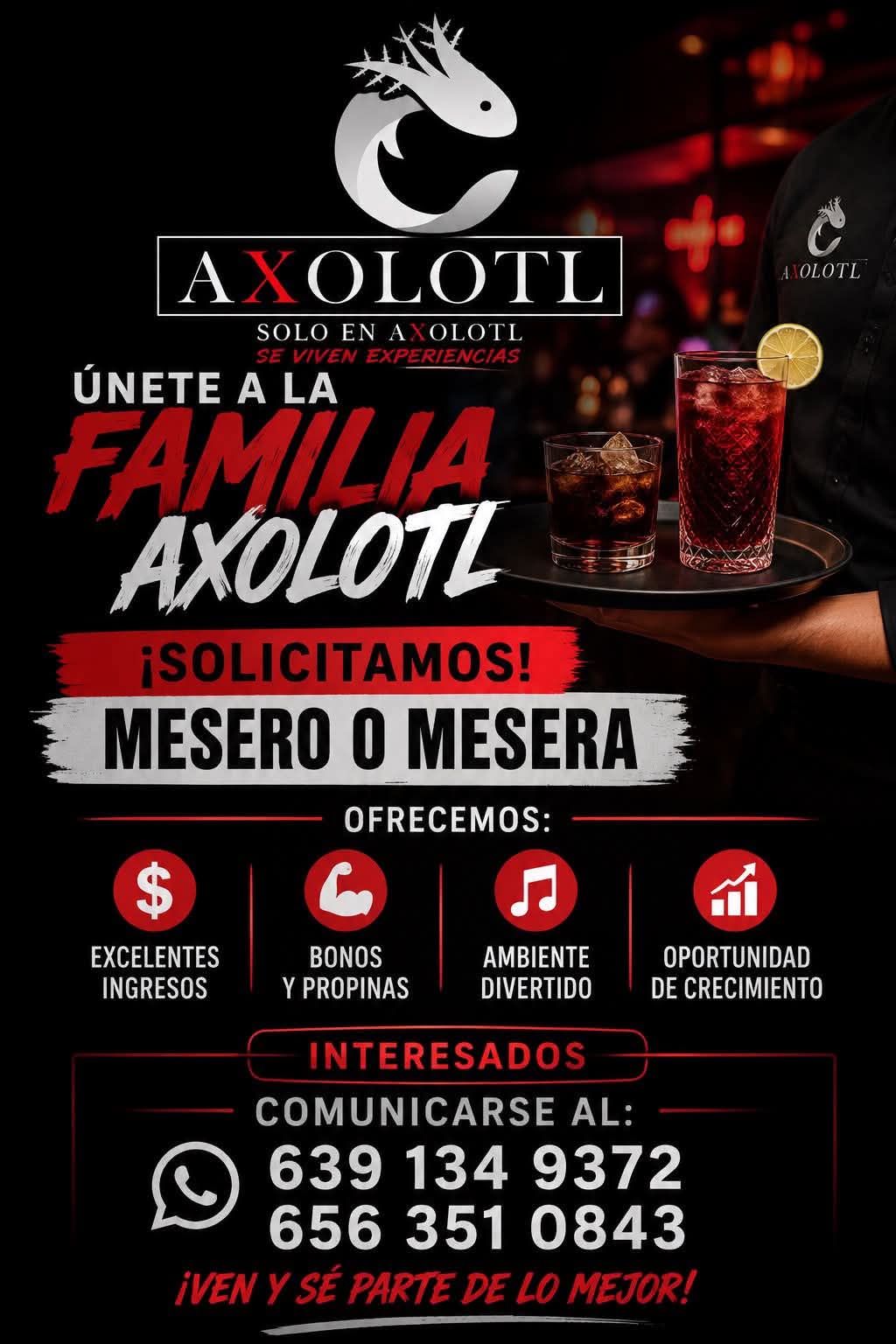 Cocinero parrillero