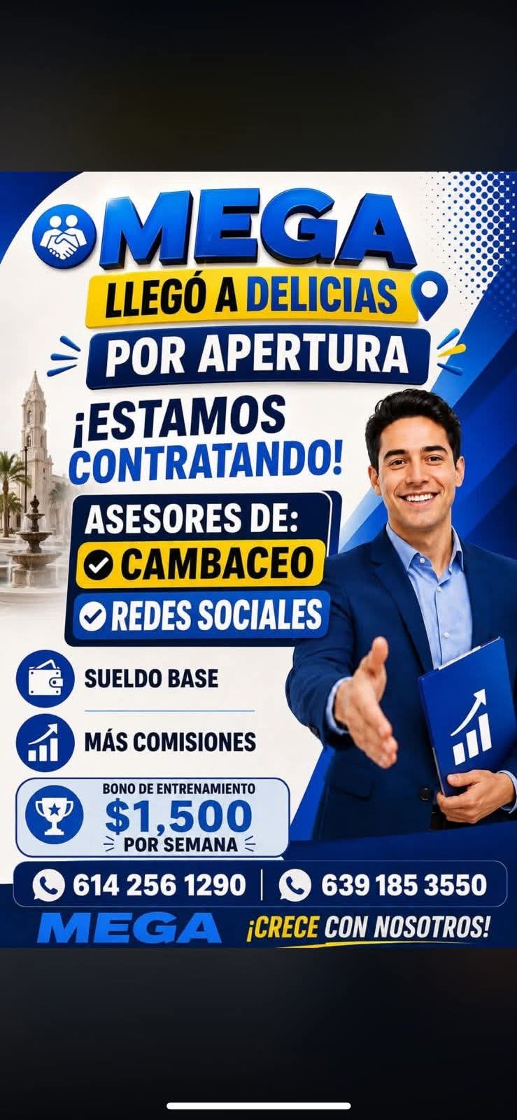 Asesores de combaceo
