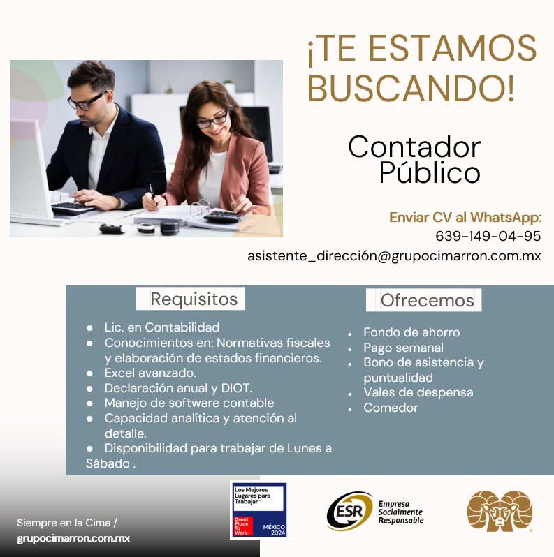 Contador publico