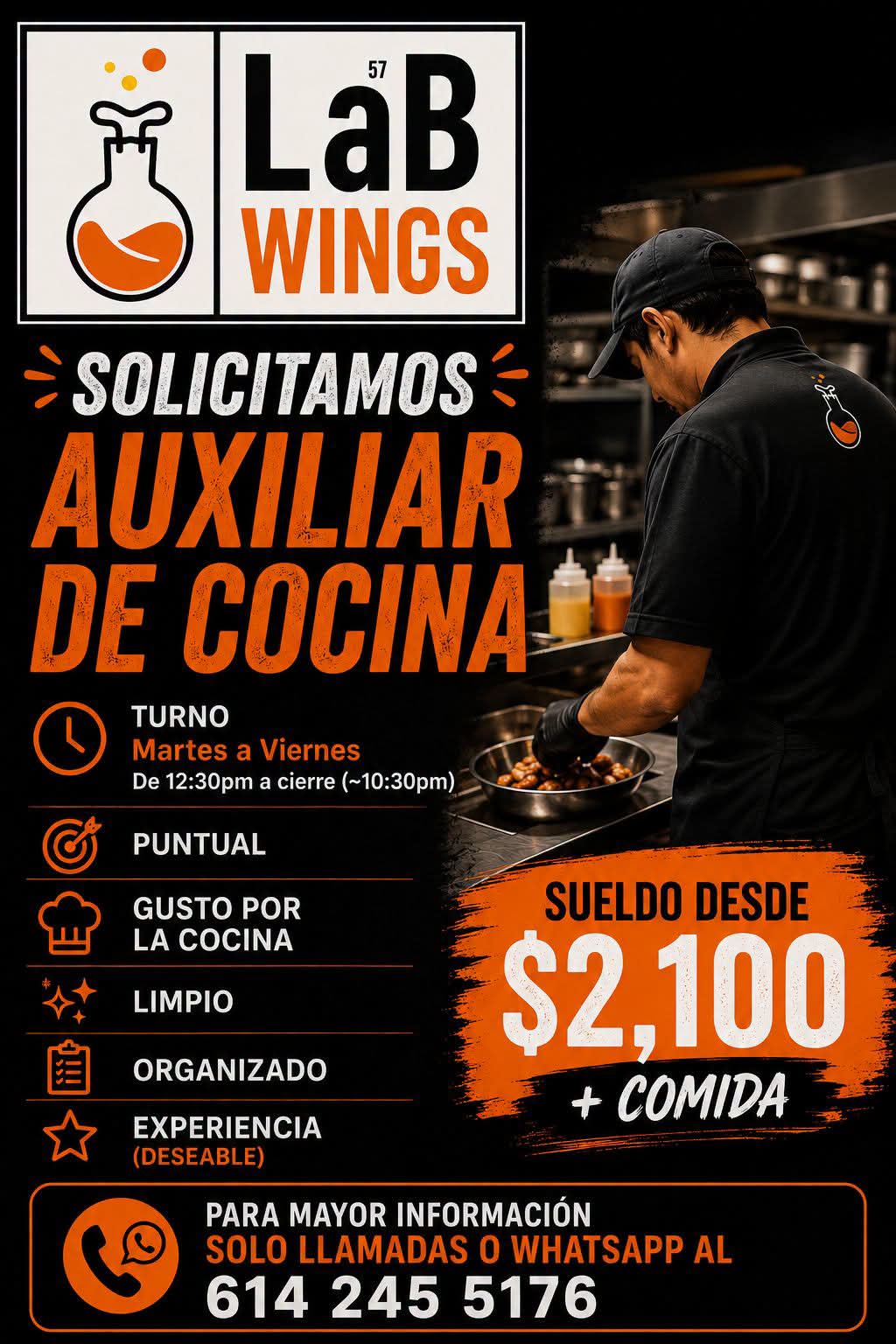 Auxiliar de cocina