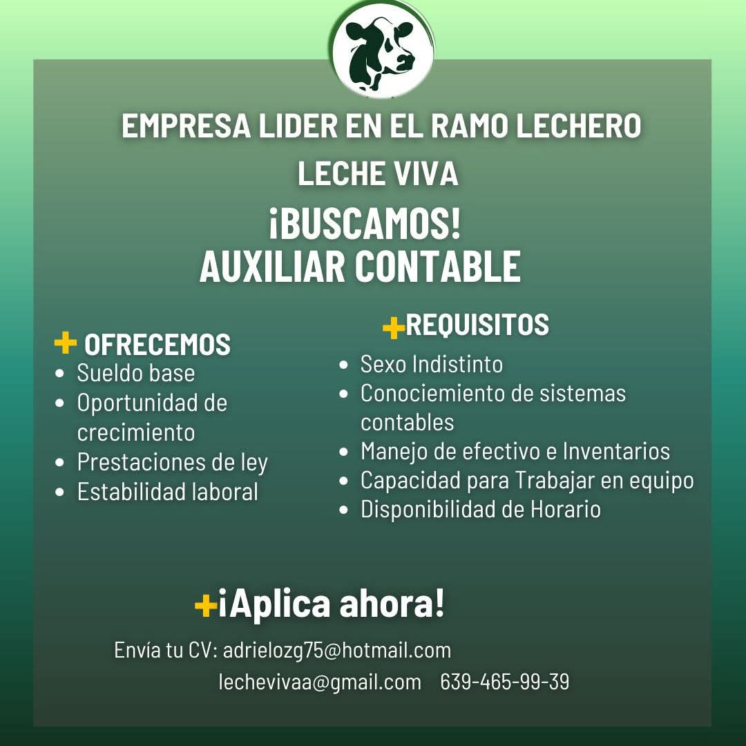 Auxiliar contable