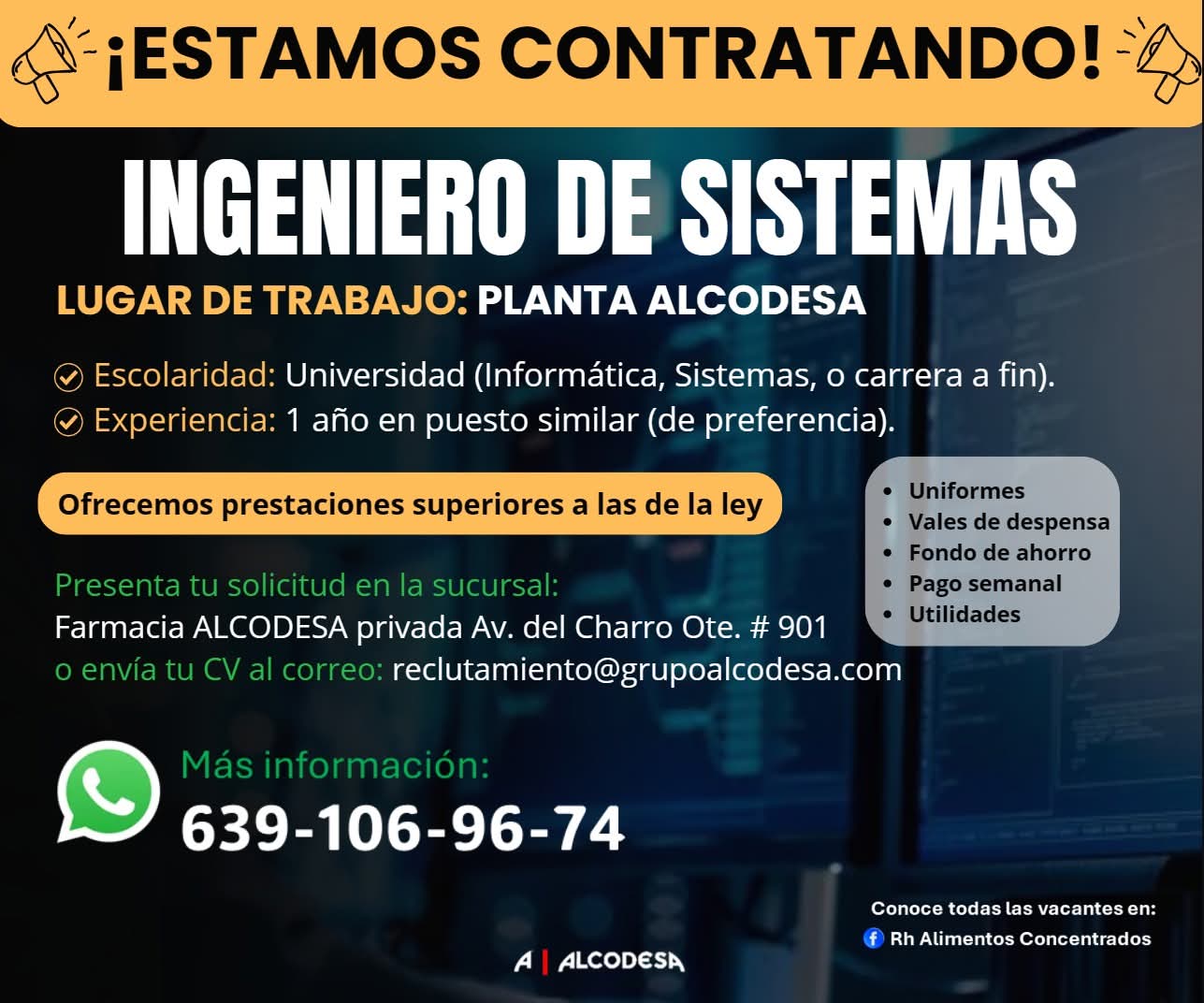 Ingeniero de sistemas