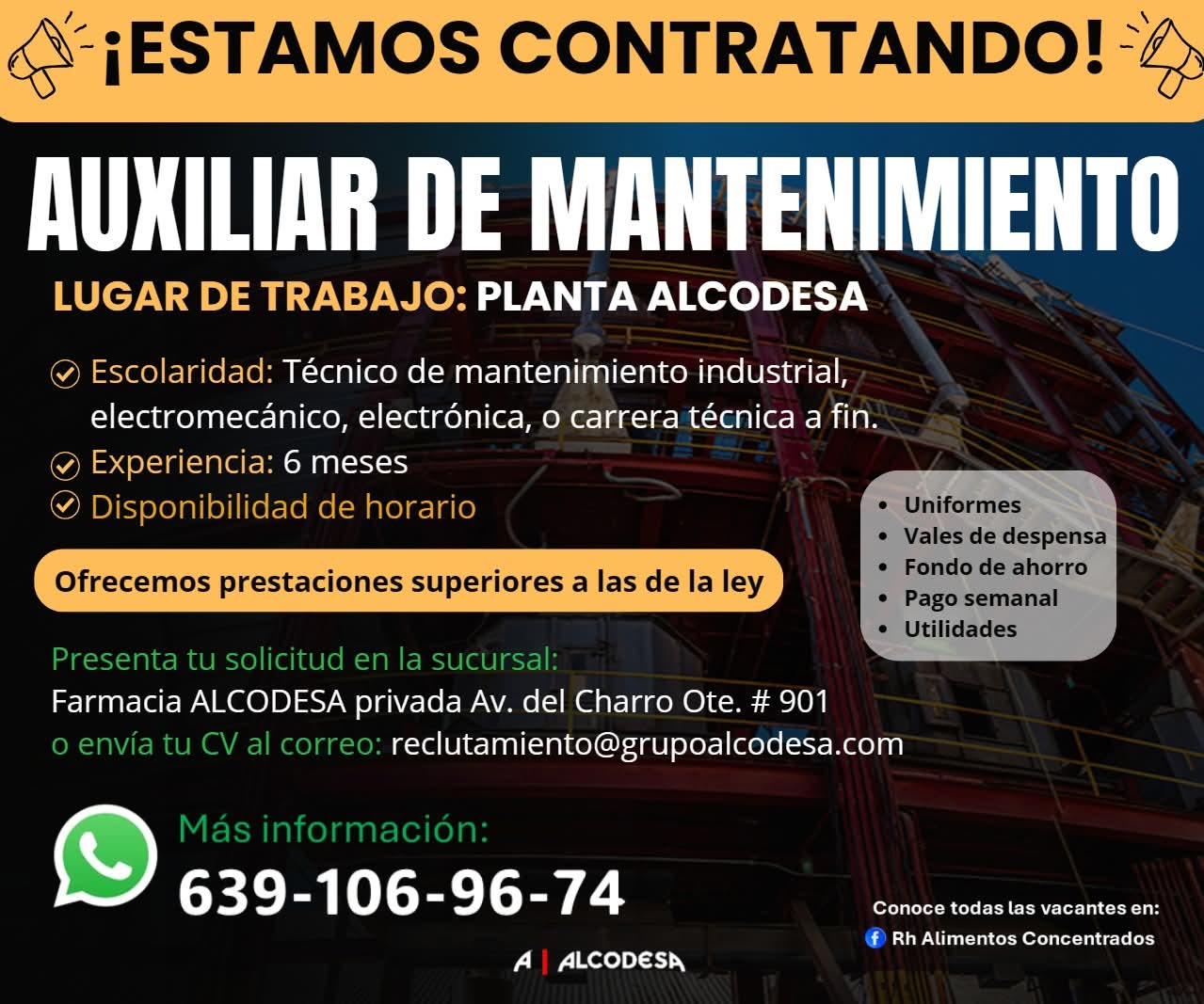 Auxiliar de mantenimiento