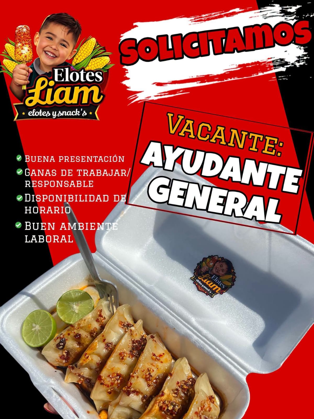Ayudante general