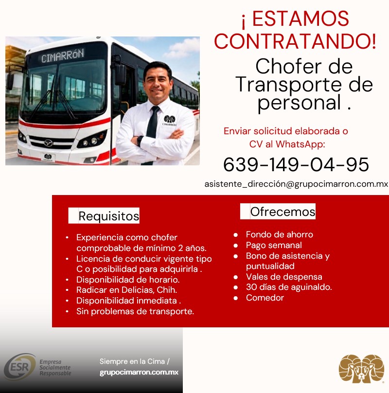 Chofer de transporte