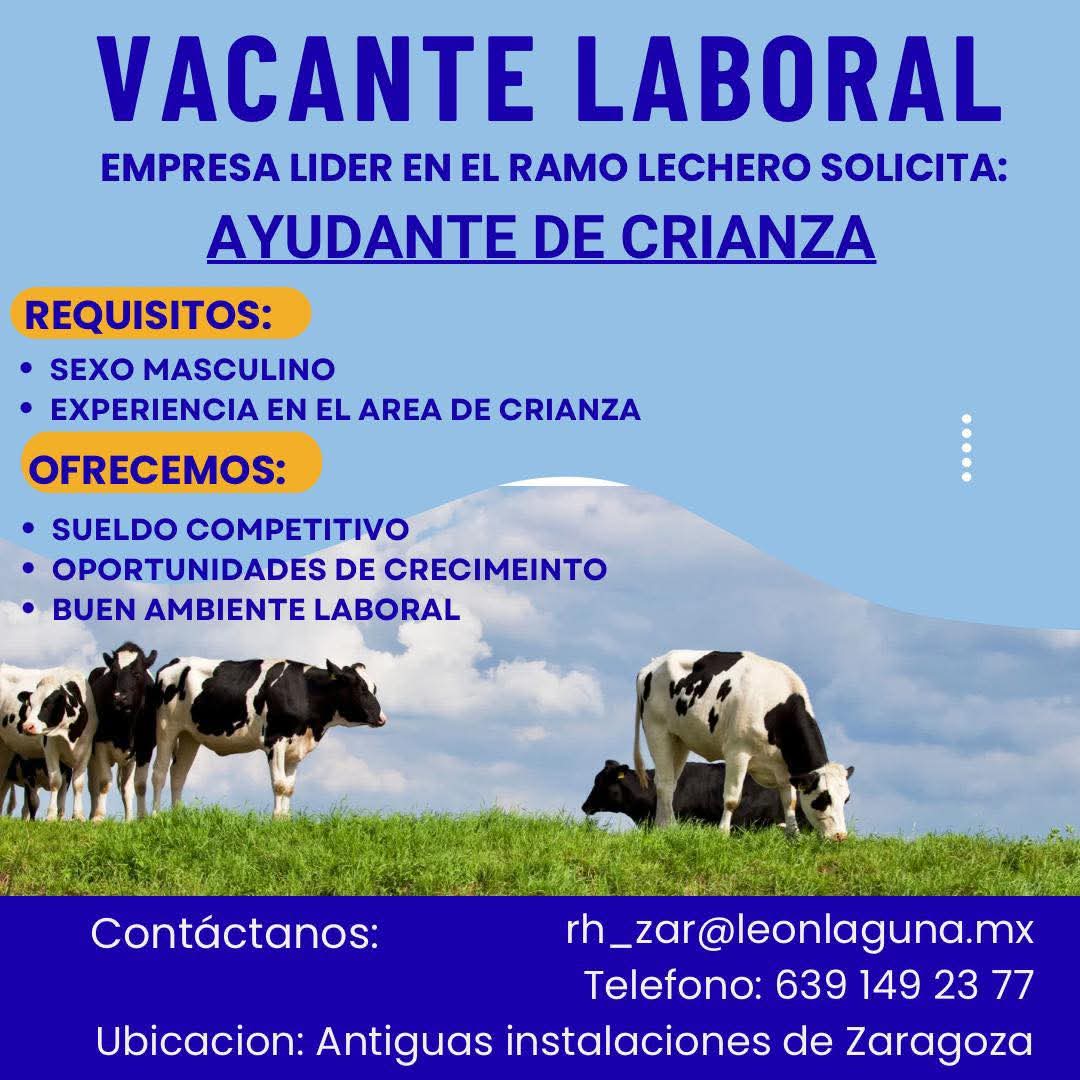 Ayudante de crianzs