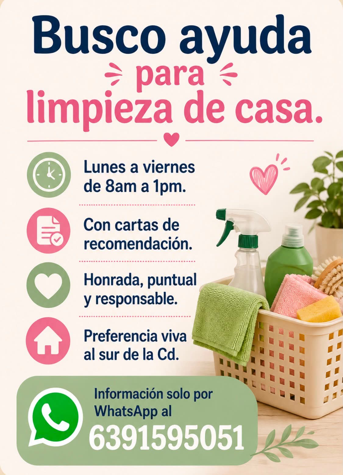 Persona para limpieza de casa