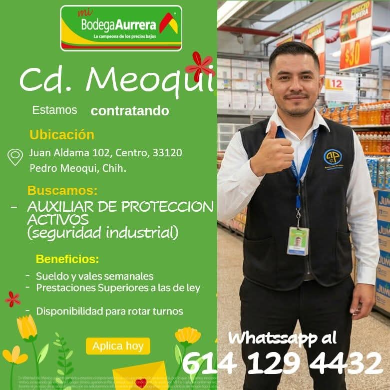 Auxiliar de proteccion