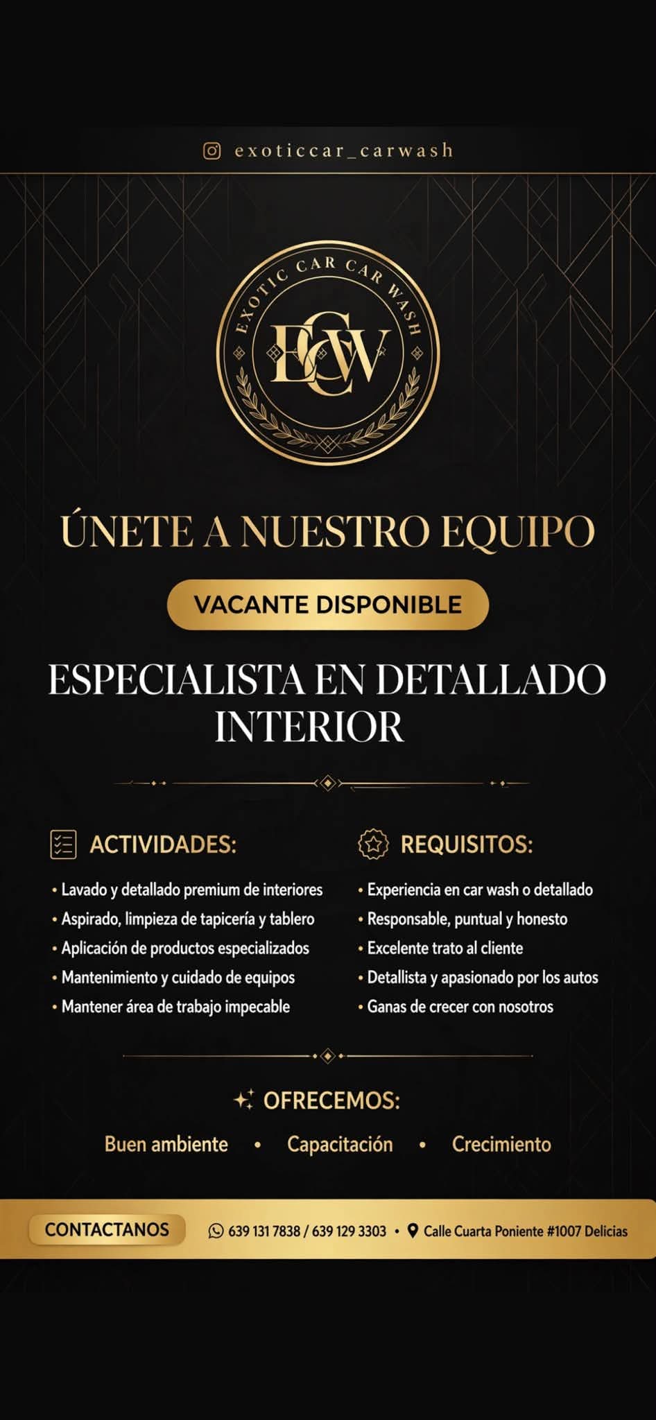 Especialistas en detallado