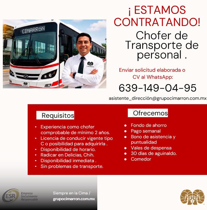 Chofer transporte personal