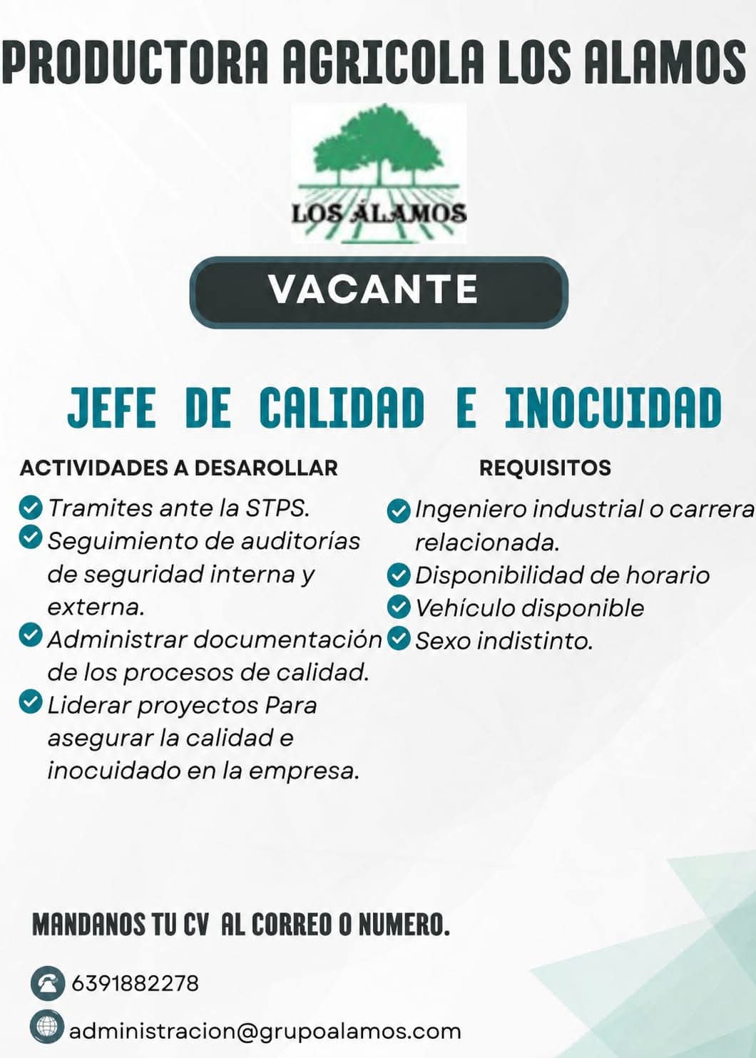 Jefe de calidad