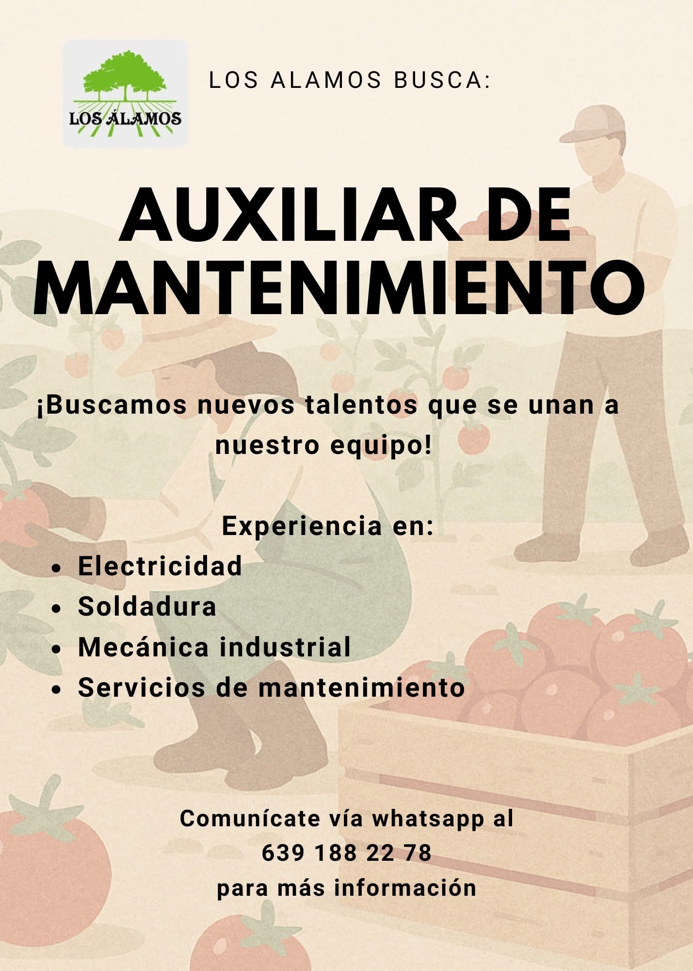 Auxiliar de mantenimiento