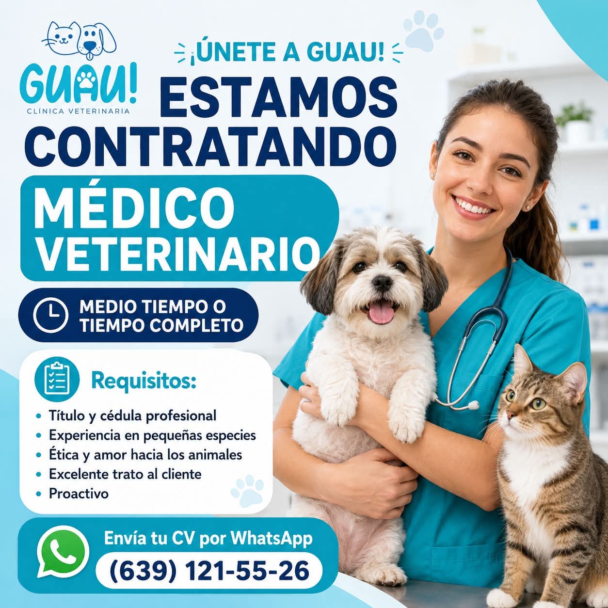 Médico veterinario
