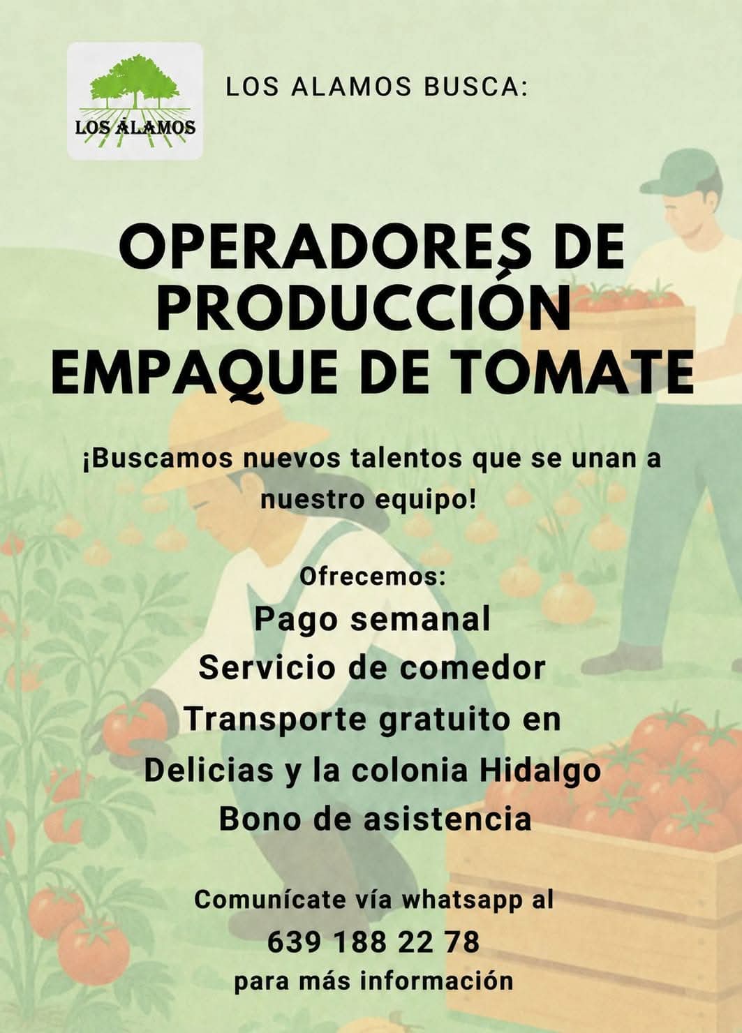 Operadores de producción