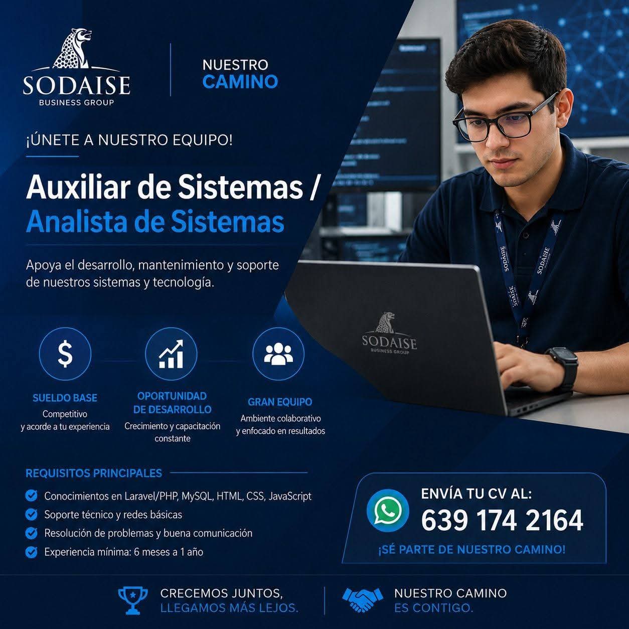 Auxiliar de sistemas