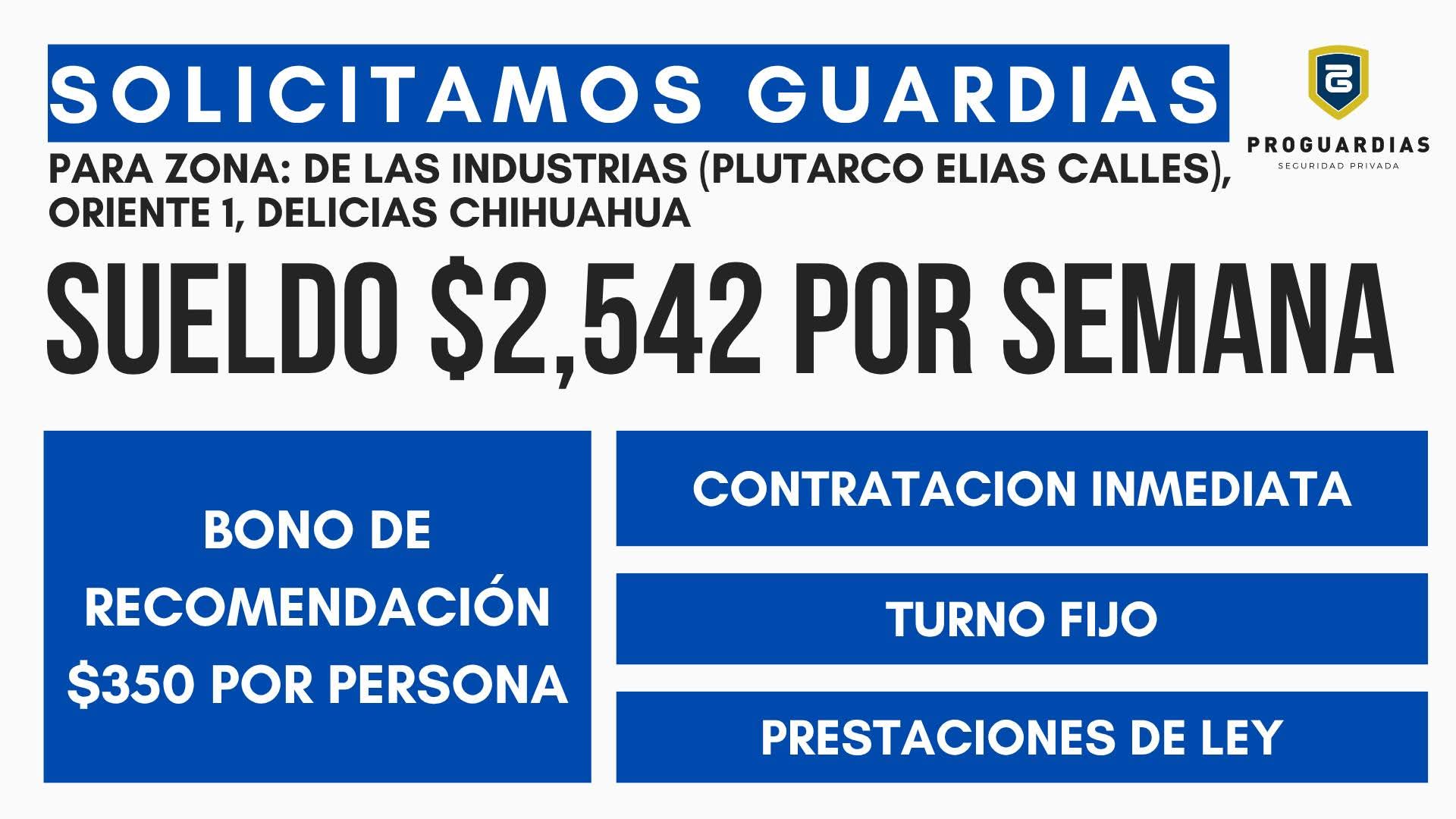 Guardia de seguridad
