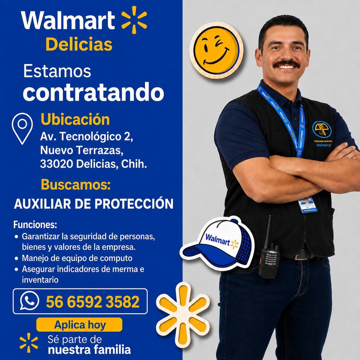 Auxiliar de proteccion