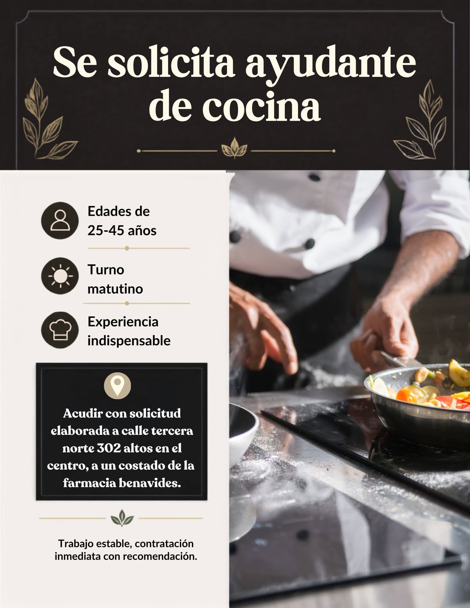 Ayudante de cocina