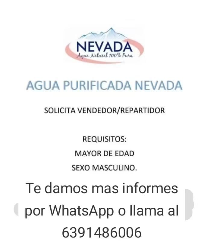Vendedor
