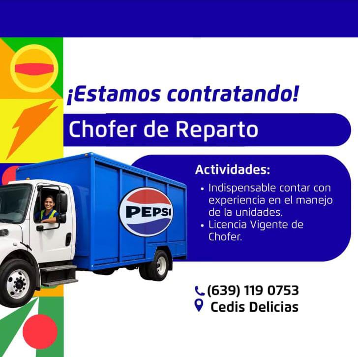 Chofer repartidor