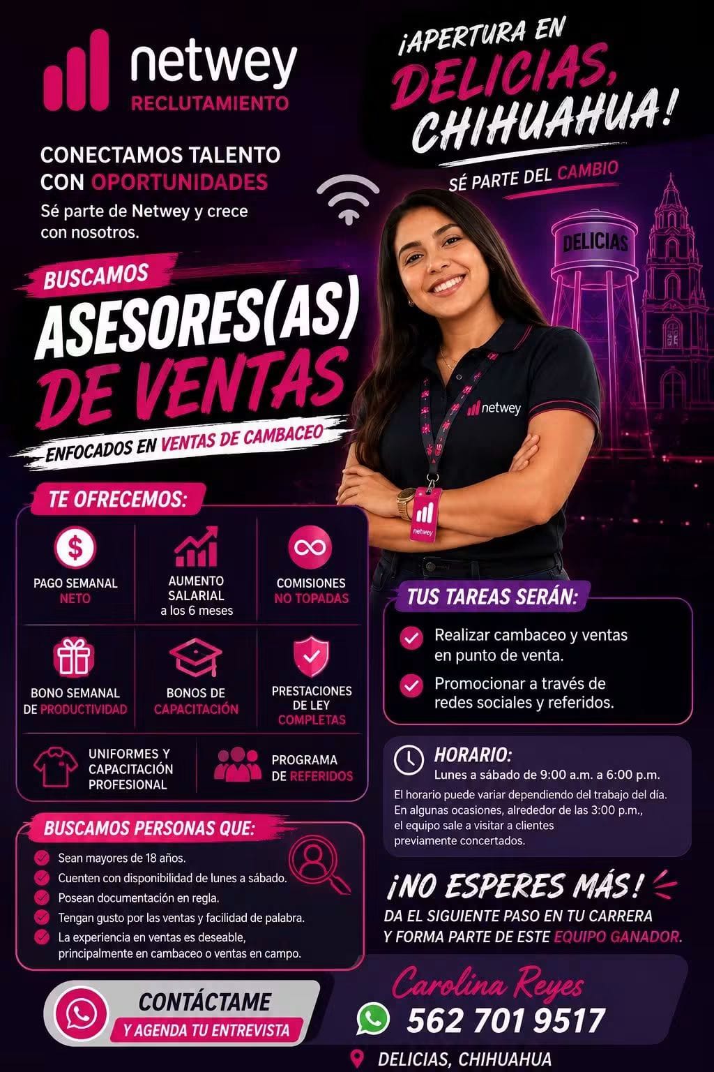 Asesor de ventas