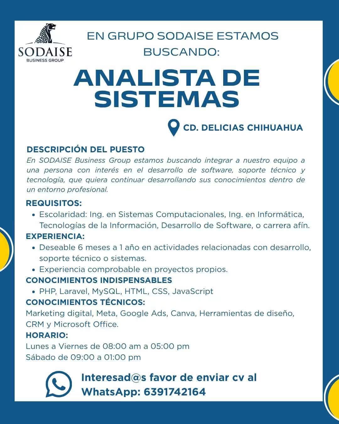 Analista de sistemas