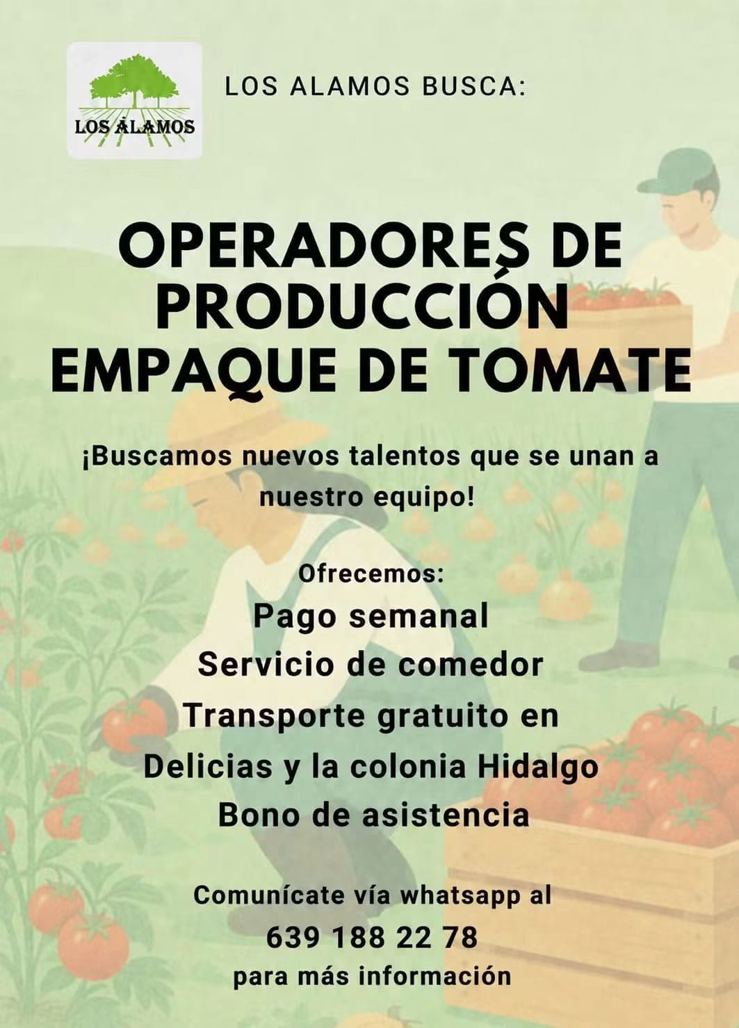 Operadores de producción