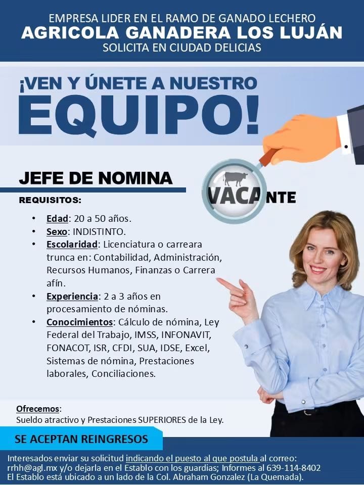 Jefe de nomina