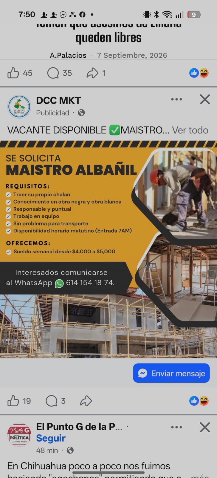 Maestro albañil