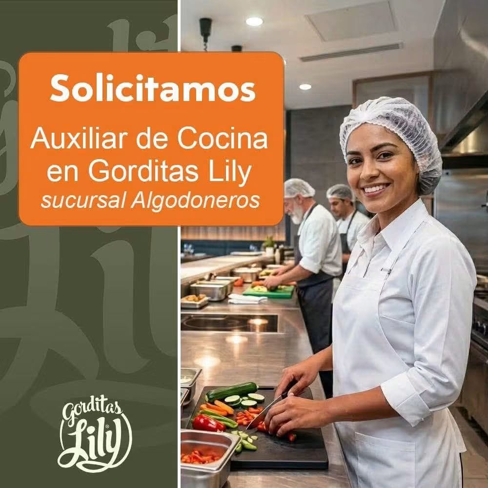 Auxiliar de cocina