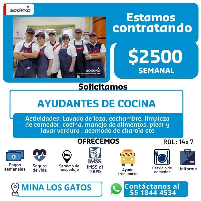 Ayudante de cocina