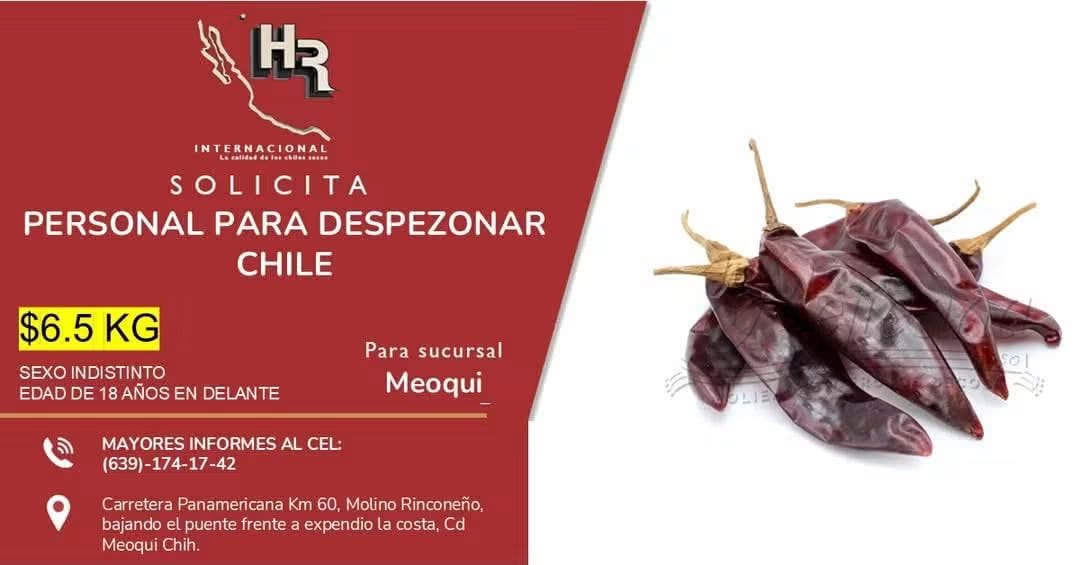 Personal para despesonar