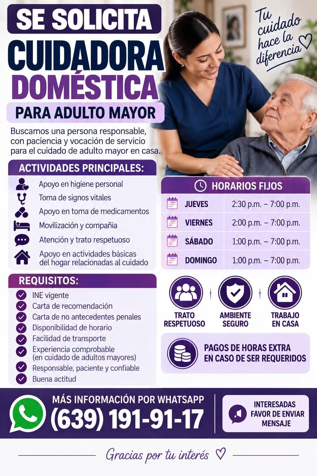 Cuidadora domestica