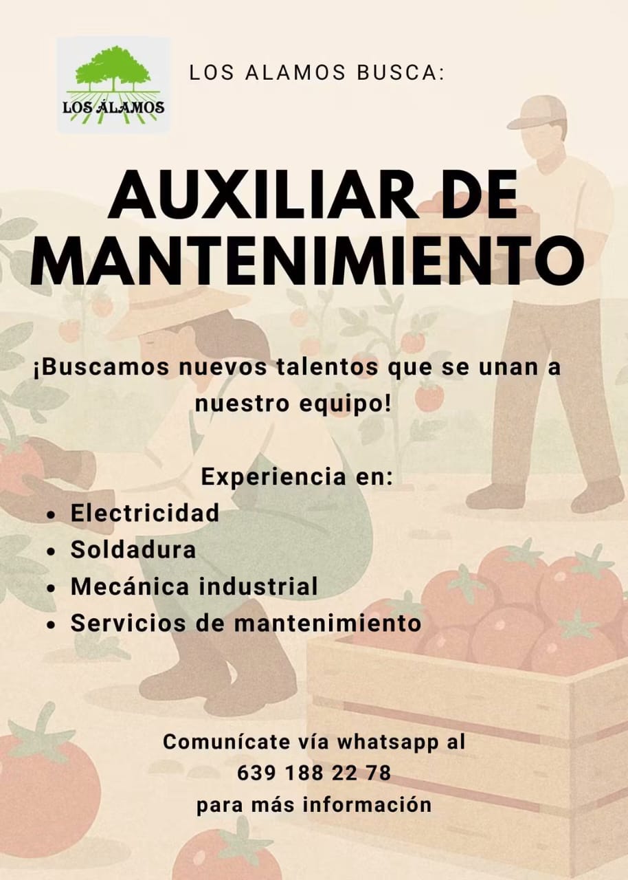 Auxiliar de mantenimiento