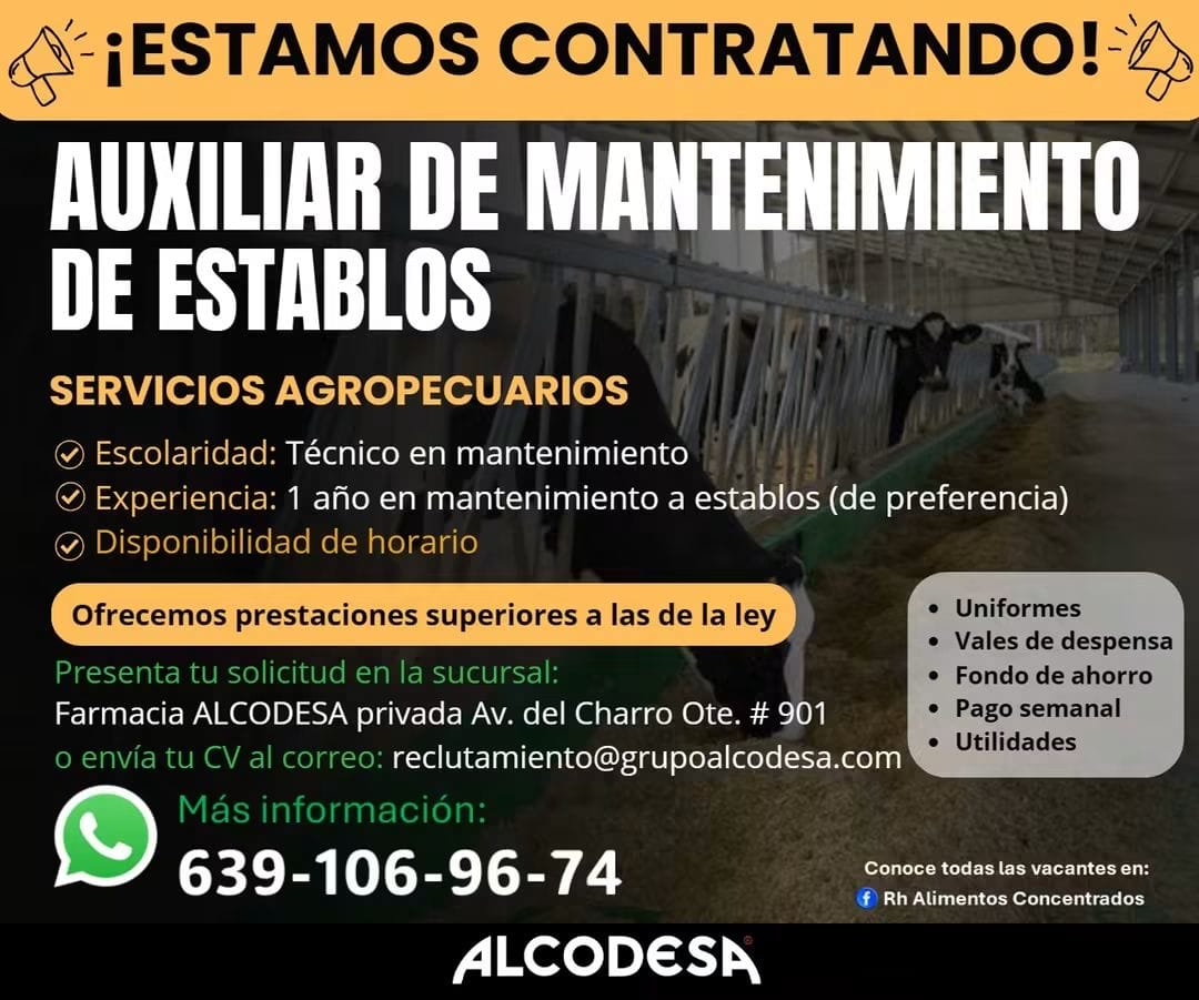 Auxiliar de mantenimiento