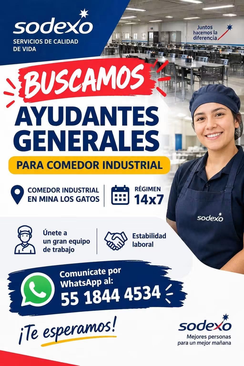 Ayudante generales