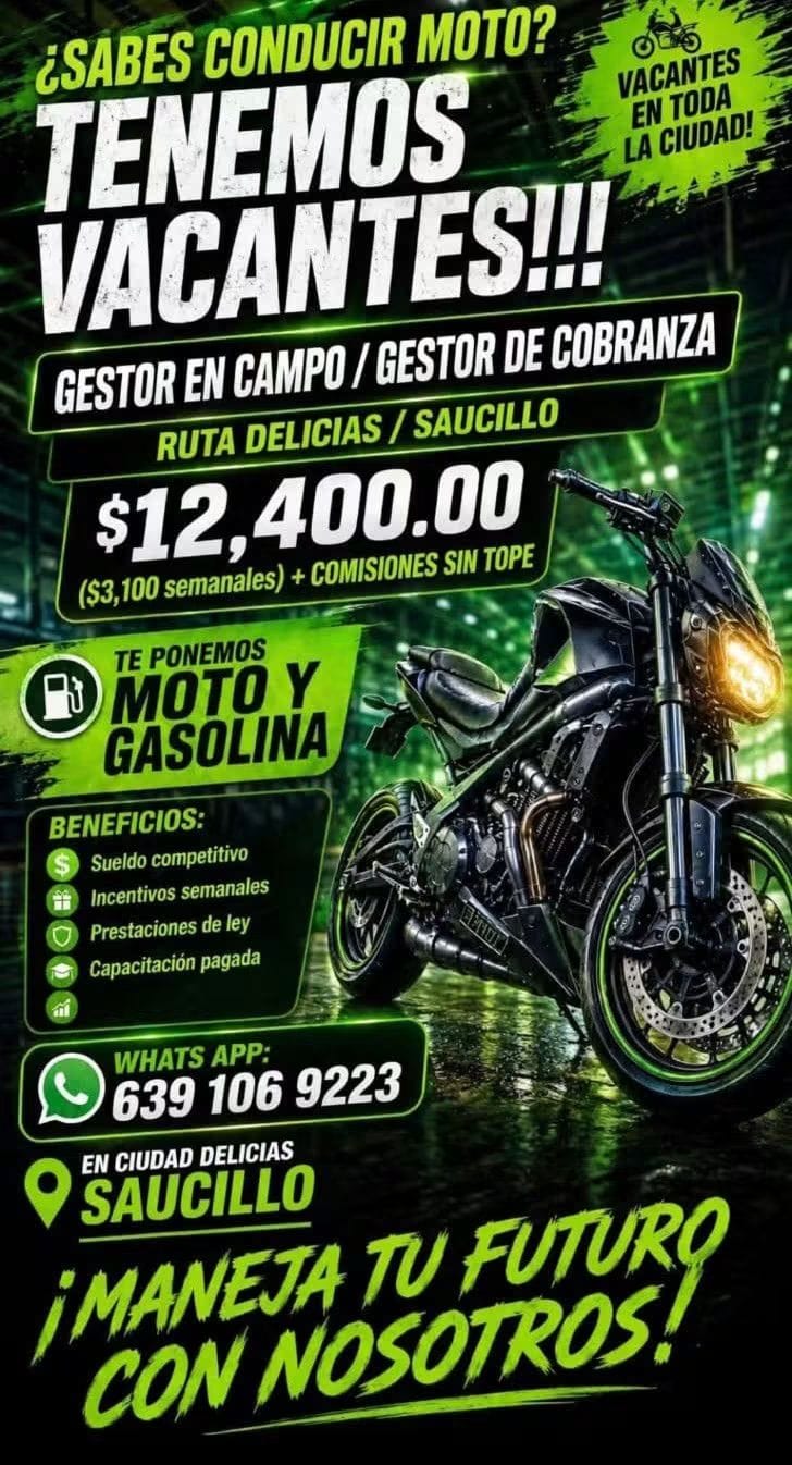 Gestor de campo