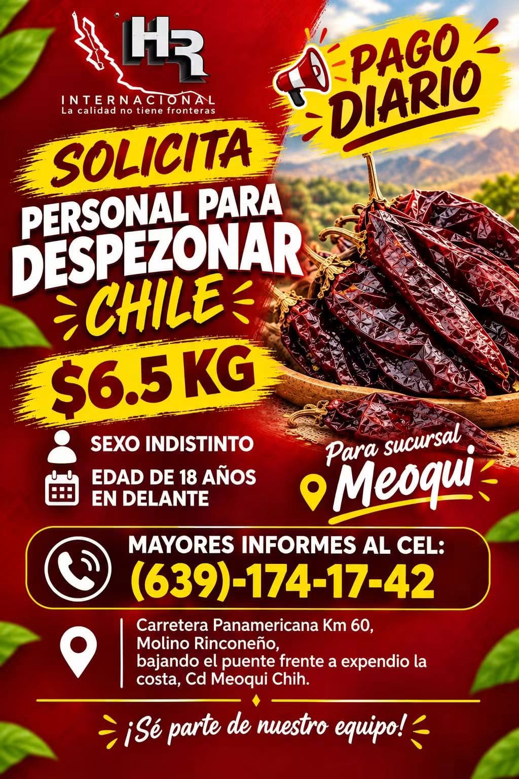 Personal para despesonar