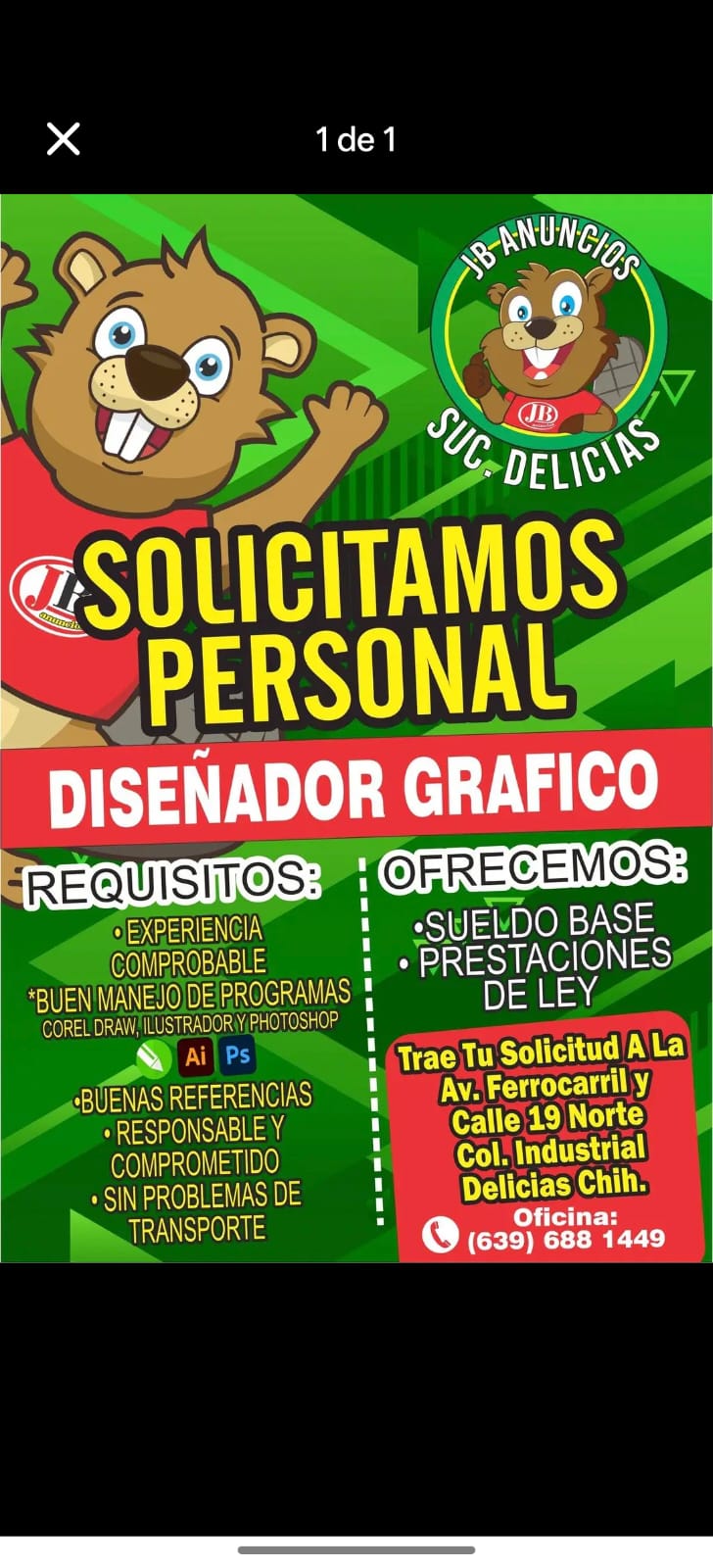 Diseñador grafico
