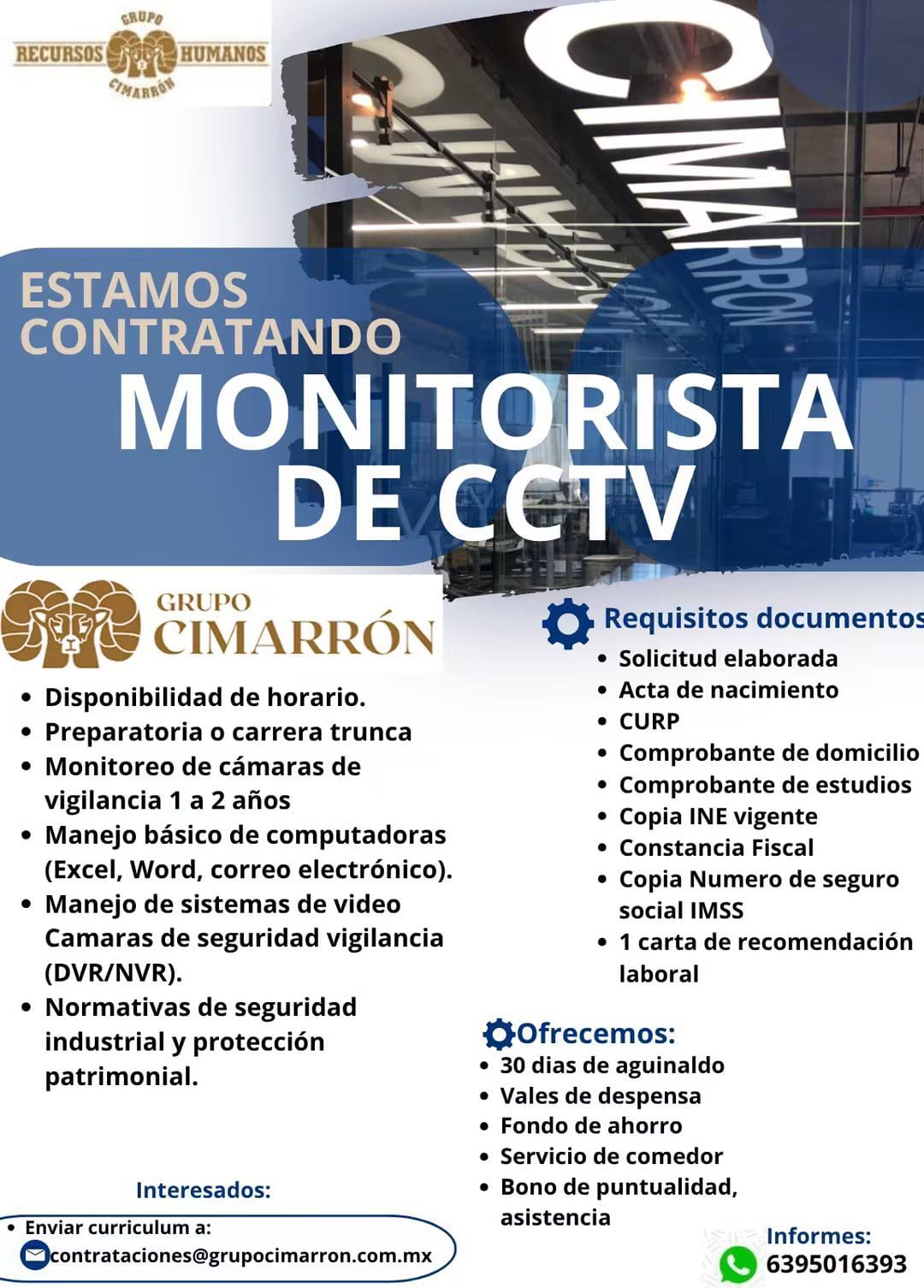 Monitorista